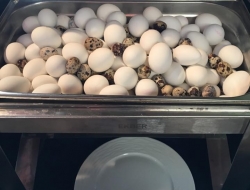 AÇIK BÜFE KAHVALTI