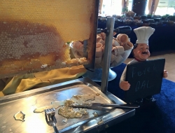 AÇIK BÜFE KAHVALTI