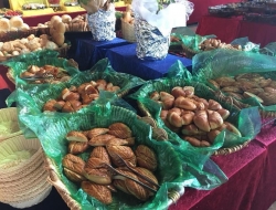 AÇIK BÜFE KAHVALTI